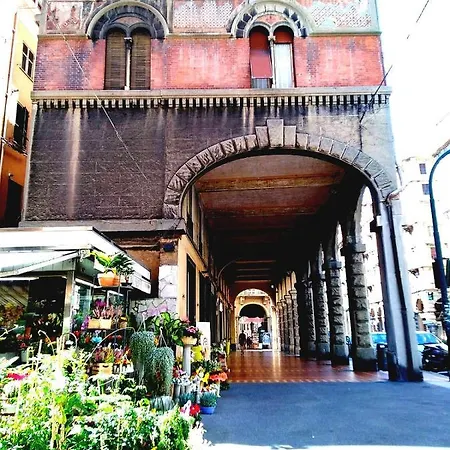 Amarantha Gothica Génova