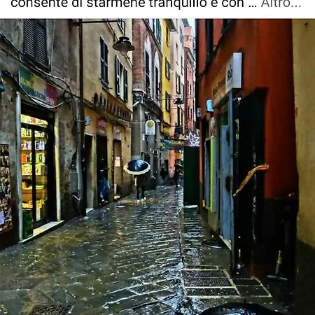 Alojamento de Acomodação e Pequeno-almoço Amarantha Gothica 4*