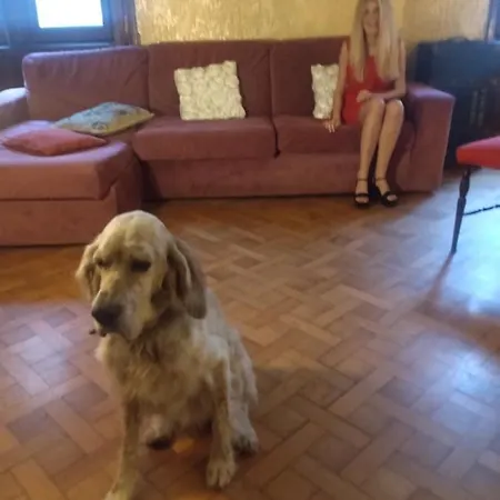 Amarantha Gothica Bed & Breakfast