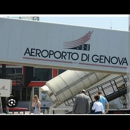 Amarantha Gothica 4*