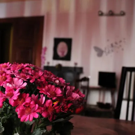 Bed & Breakfast Amarantha Gothica Genoa
