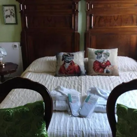 Amarantha Gothica Bed & Breakfast Janov