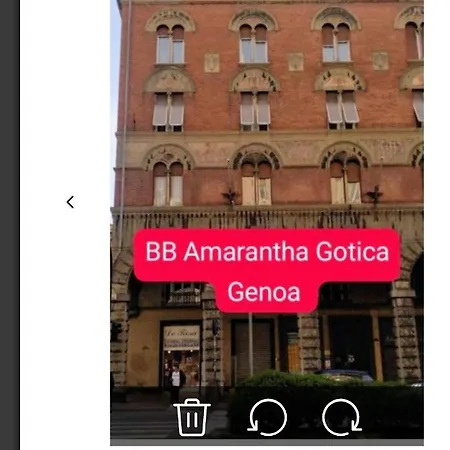 Amarantha Gothica *