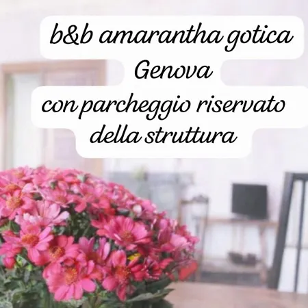 Nocleg ze śniadaniem Amarantha Gothica
