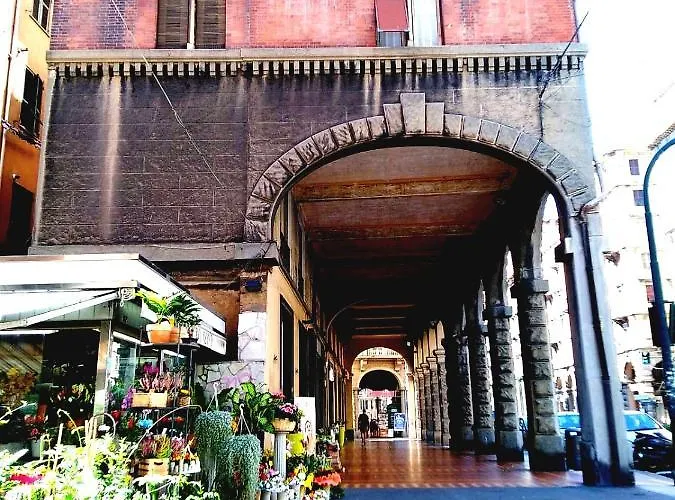 Amarantha Gothica Janov