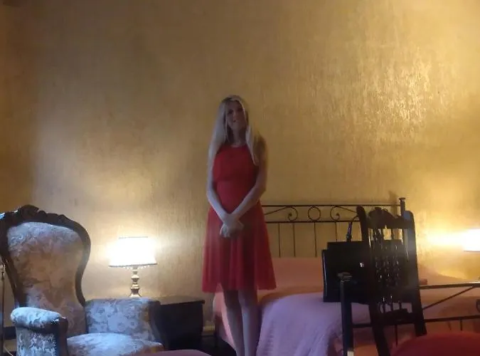 Amarantha Gothica Bed & Breakfast Janov