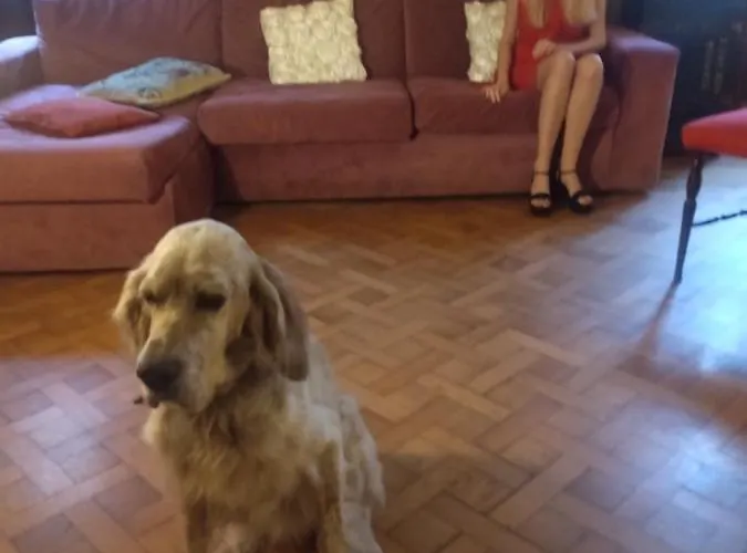 Amarantha Gothica Bed & Breakfast