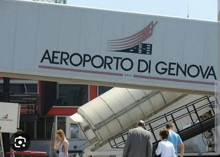 Amarantha Gothica 4*