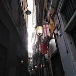 Amarantha Gothica 3* Genova